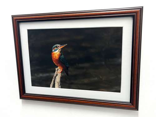 Rodney Ferguson Profile Photo